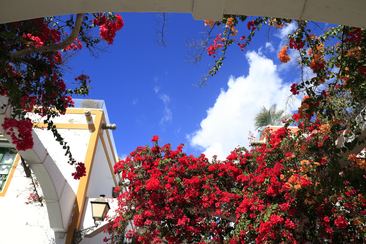 10.29 Gran Canaria  MG 1567